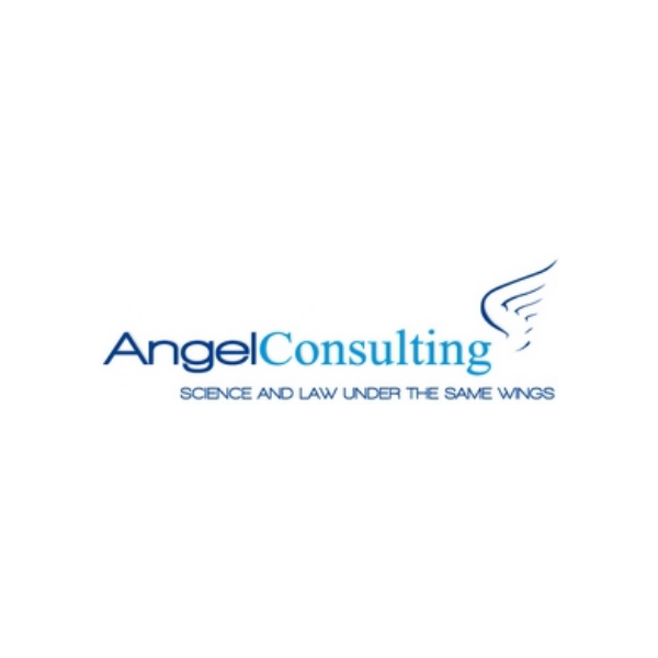 Angel Consulting
